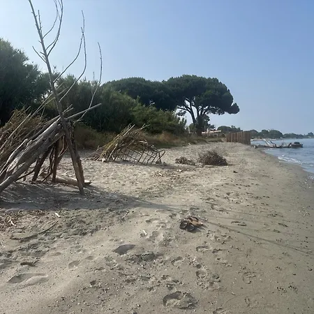 Logement 216 Moriani Plage