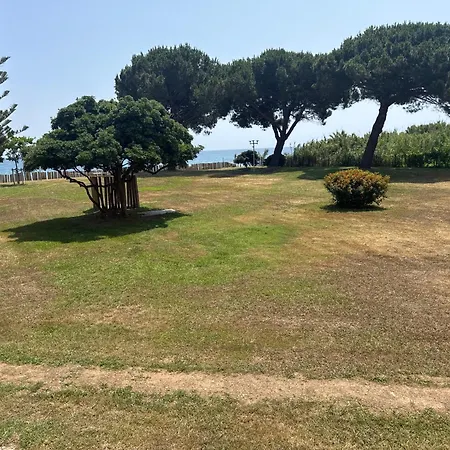 Logement 216 Moriani Plage *