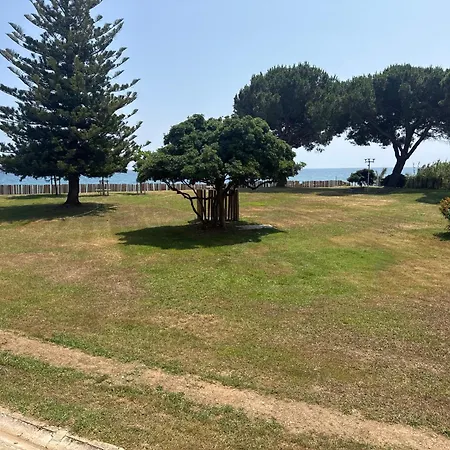 Logement 216 Moriani Plage Διαμέρισμα